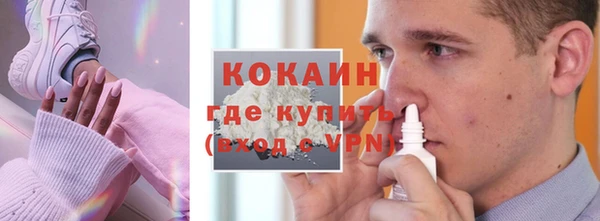 тгк Алзамай